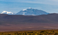 Cerro Paniri photo