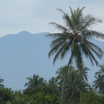 Mount Sago