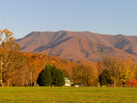 Mount Cammerer photo