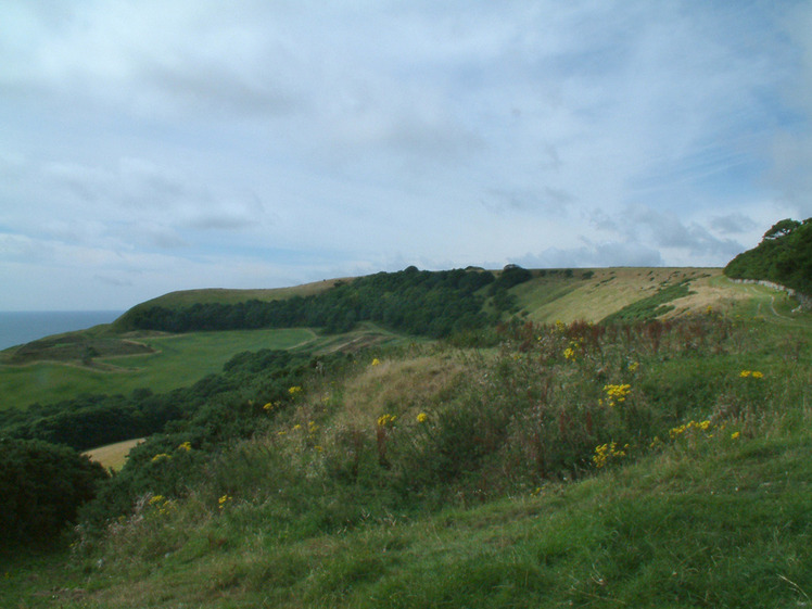 Swyre Head weather