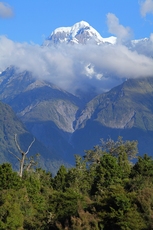 Mount Tasman photo