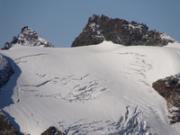 Hillehorn photo