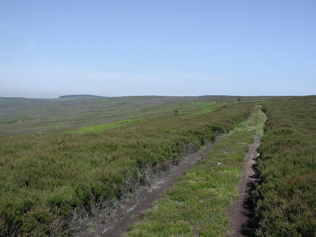 Gisborough Moor weather