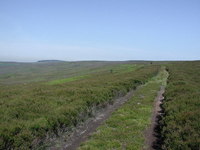 Gisborough Moor photo