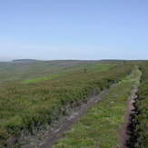 Gisborough Moor