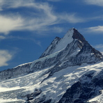 Schreckhorn