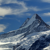 Schreckhorn