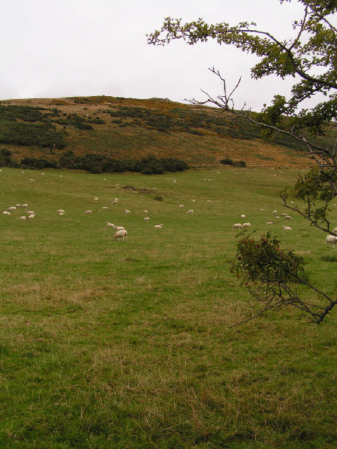 Watch Hill (Cockermouth) weather