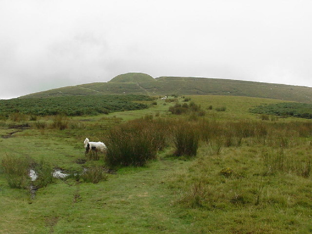 Twmbarlwm weather