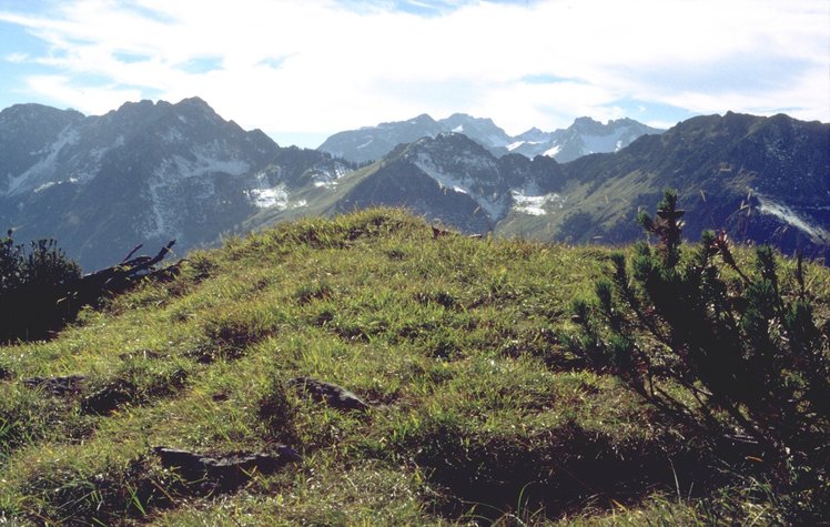 Älpelekopf (Gerstruben)