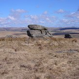 Fox Tor