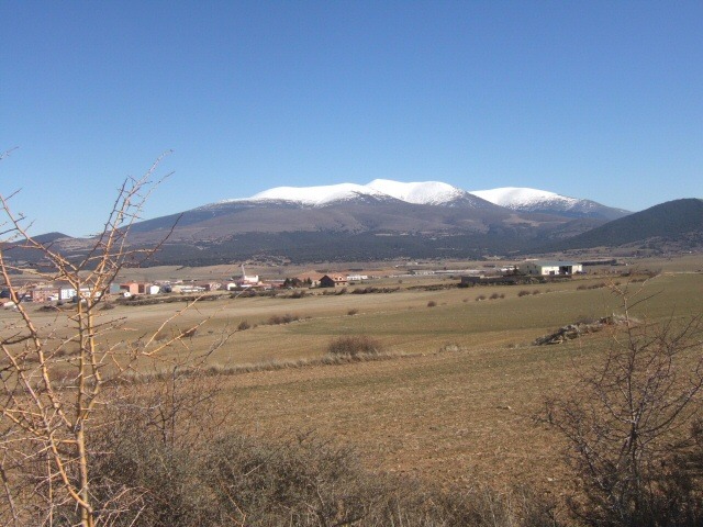 Moncayo