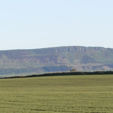 Benarty Hill