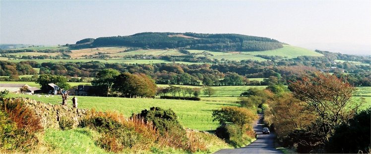 Beacon Fell Country Park