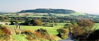 Beacon Fell Country Park photo