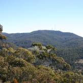 Mount Canobolas