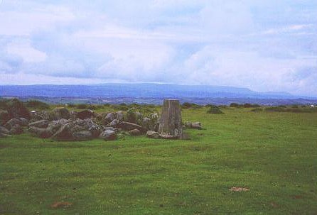 Hergest Ridge