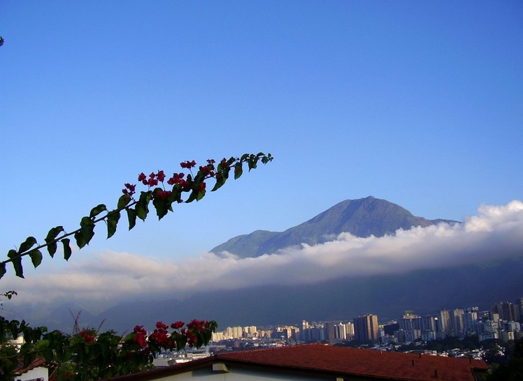 Cerro El Ávila weather