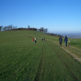 Chanctonbury Ring