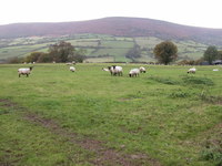 Hatterrall Hill photo