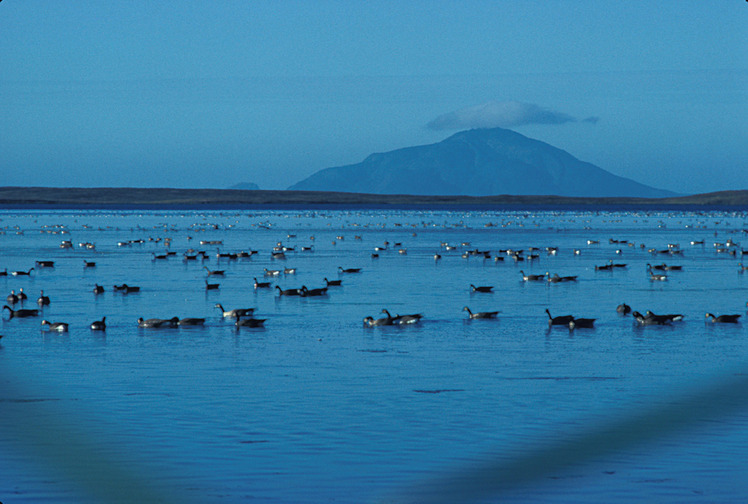 Amak Volcano