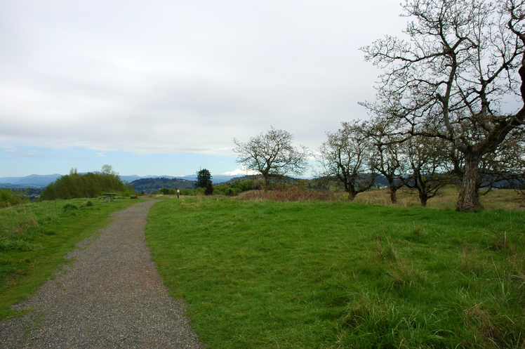 Powell Butte