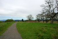 Powell Butte photo
