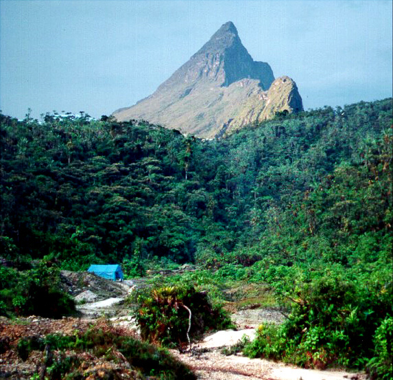 Pico da Neblina weather