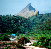 Pico da Neblina photo