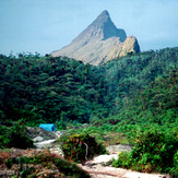 Pico da Neblina