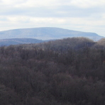 Ritchey Knob