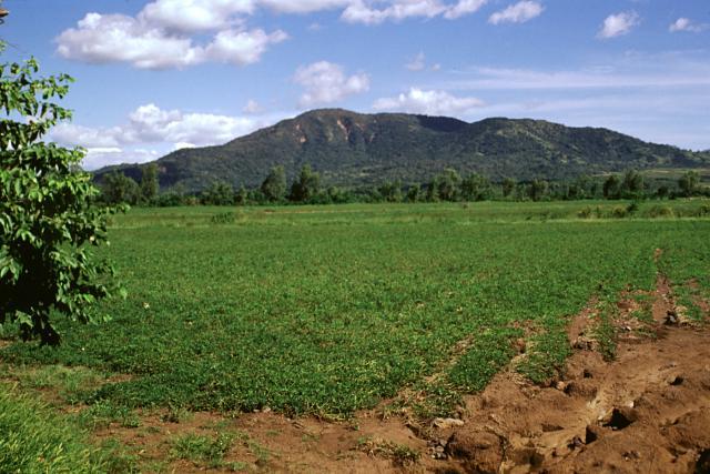 Rota (volcano) weather