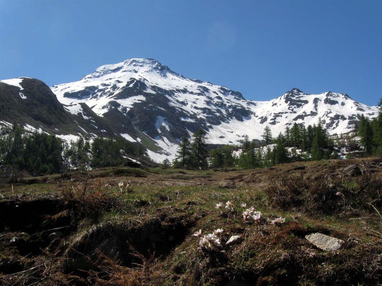 Wasenhorn (Simplon) weather