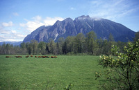 Mount Si photo
