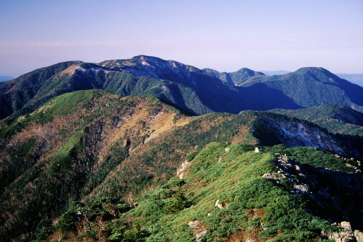 Mount Tekari weather