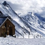 Schinhorn