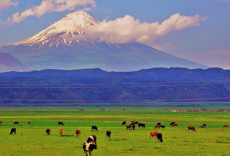 Little Ararat