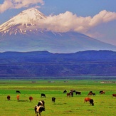 Little Ararat