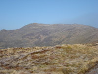 Y Garn (Rhinogydd) photo