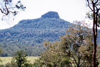 Wilsons Peak photo