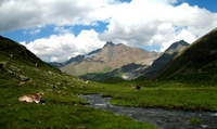 Vordere Ölgrubenspitze photo