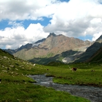 Vordere Ölgrubenspitze