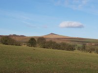 Sharp Haw photo