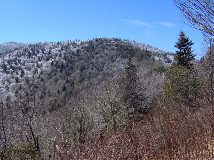 Old Black (Great Smoky Mountains)