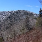 Old Black (Great Smoky Mountains)