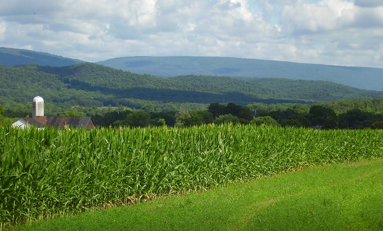 Jacks Mountain weather