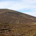 Meall a' Bhuachaille