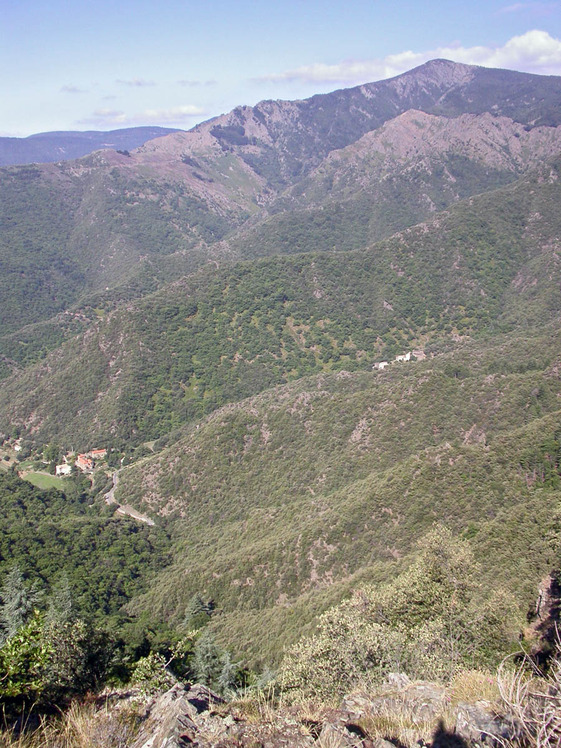 Mont Aigoual weather