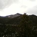 Mount Rosa (Colorado)