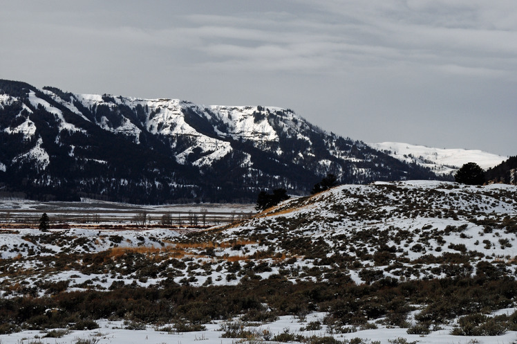 Specimen Ridge weather